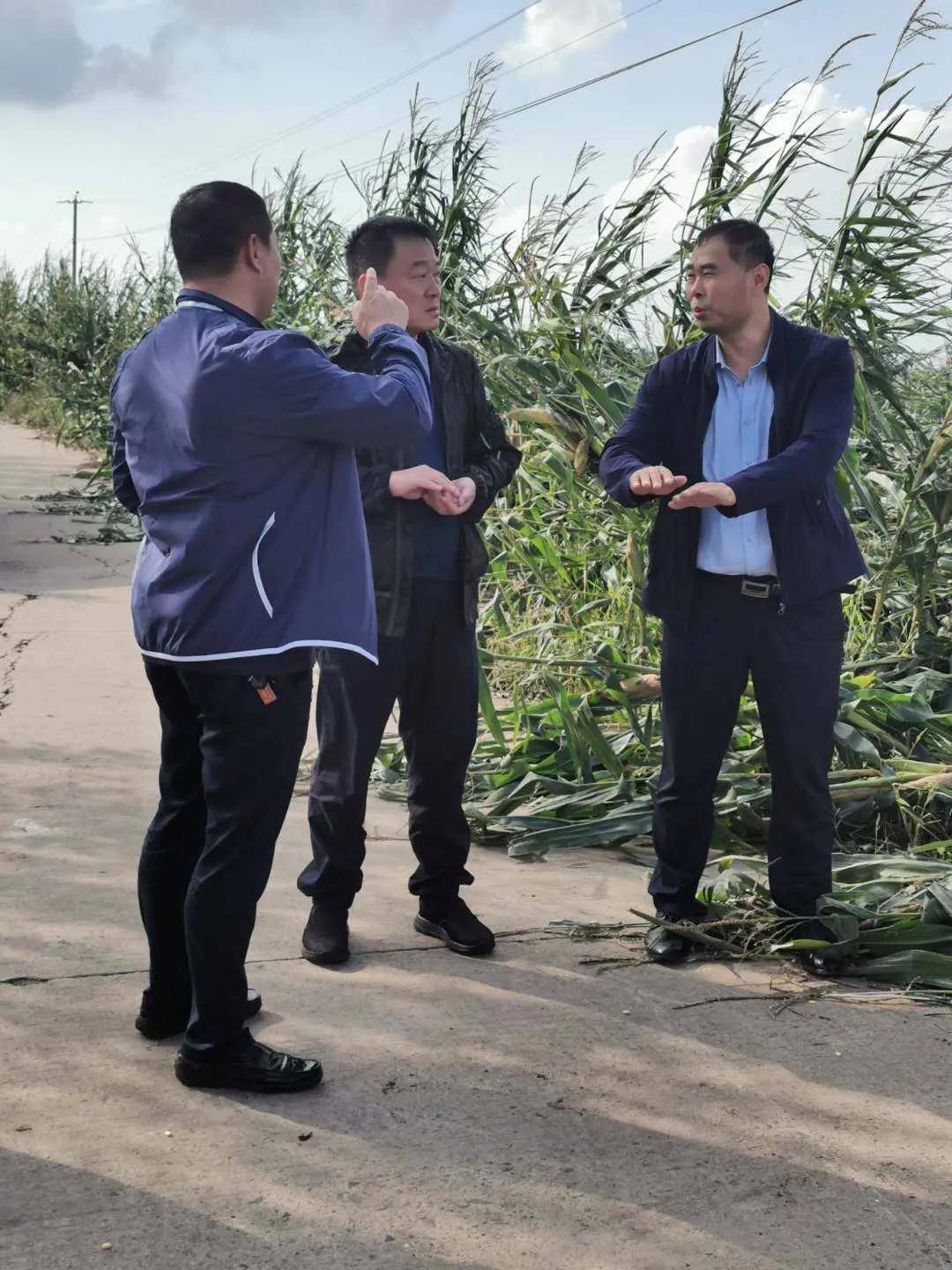 区委书记李洪铭深入永胜镇查看灾情_台风