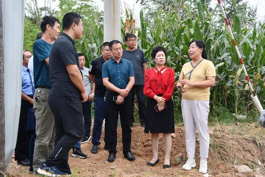 公益诉讼助力"丹朱古城"文化遗址保护_长子县