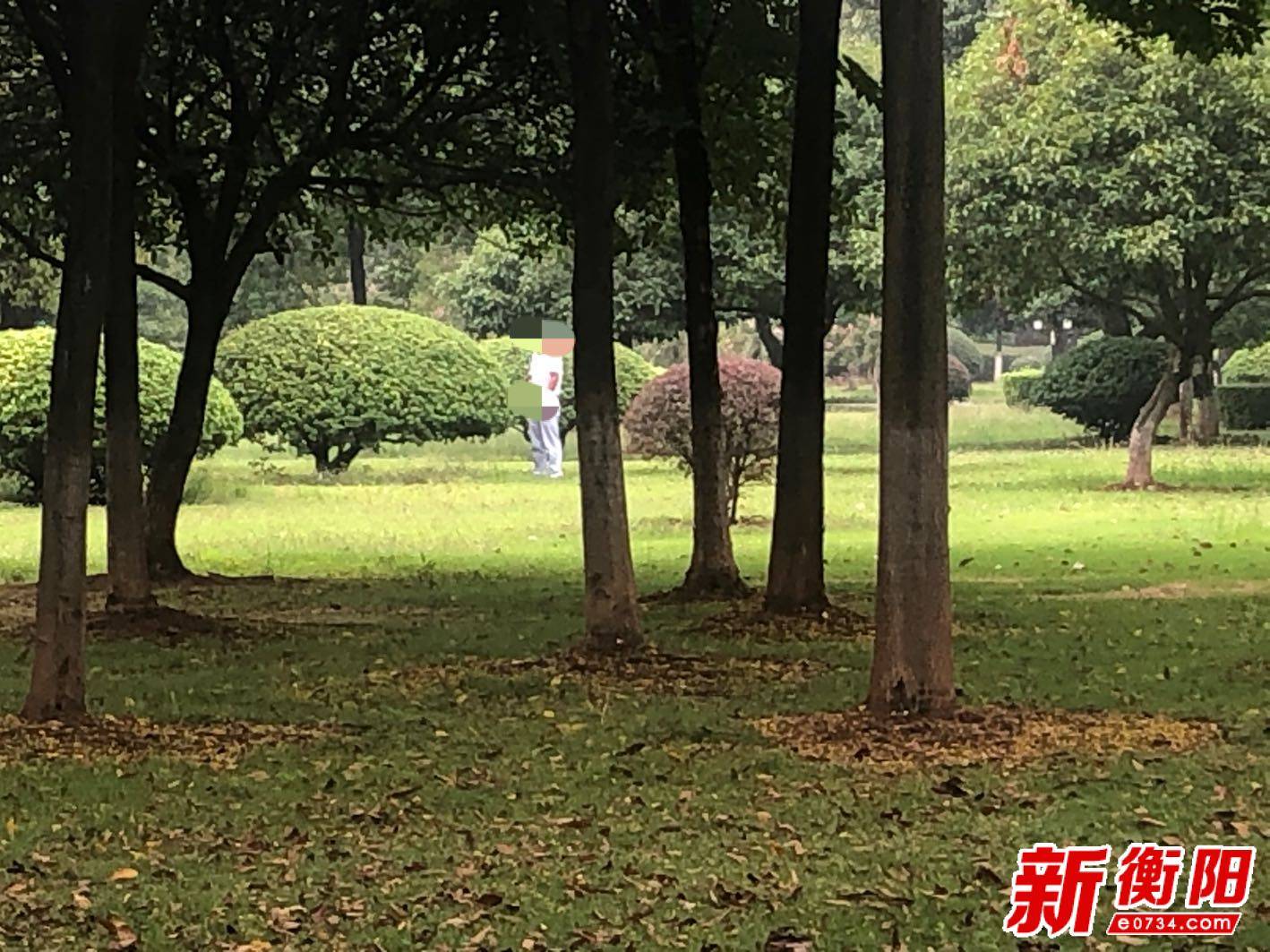向不文明行为说"不":辣眼睛!船山公园竟然有人随地小便_市民
