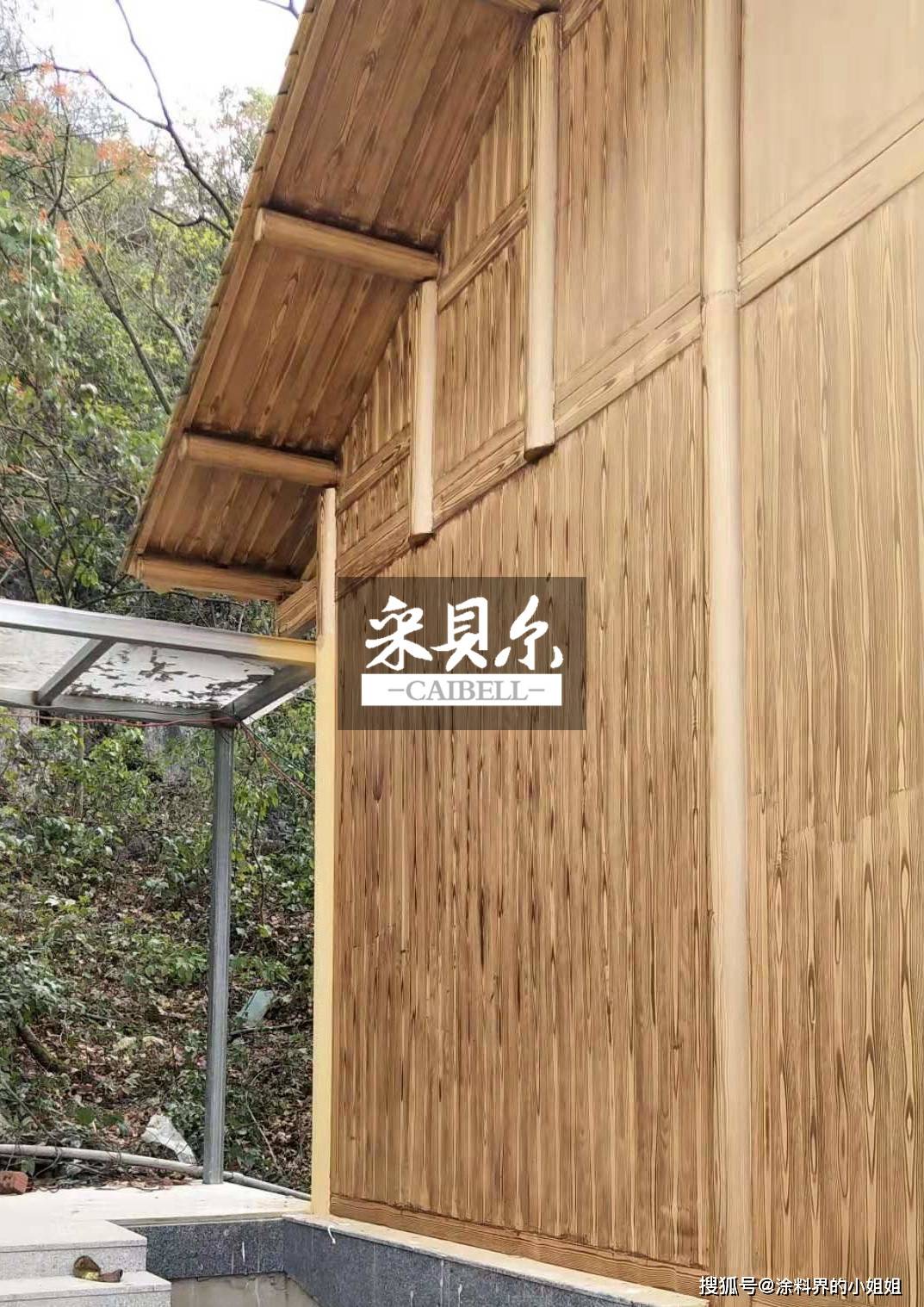 湖南木纹漆-搜狐大视野-搜狐新闻