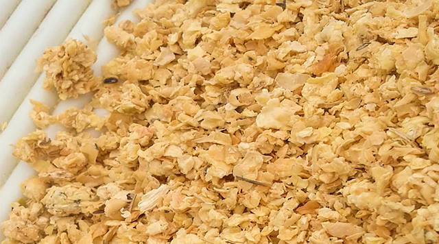 期货品种详解之豆粕期货