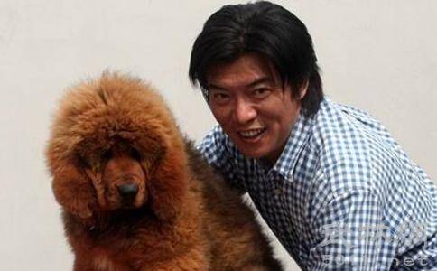 这样的理由算是比较清新脱俗了,不过张佩华表示自己喜欢藏獒胜过拍戏