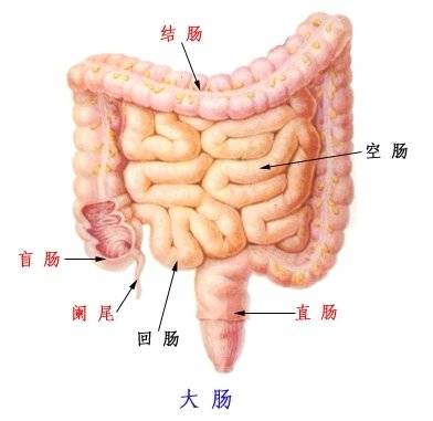 便秘到底需要做肠镜检查吗