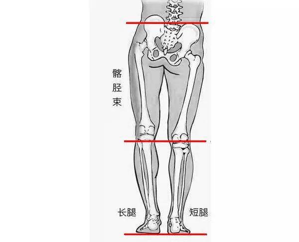 骨盆失稳,身体已经倾斜了