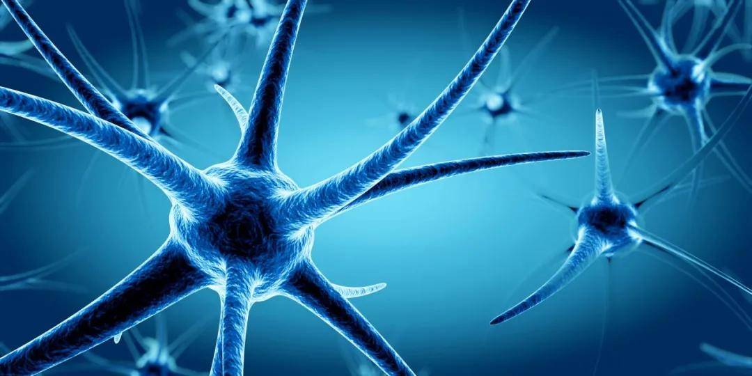 坚持这个原则,帮孩子顺利度过大脑发育关键阶段_脑神经