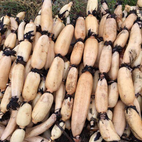 红花藕适合煲汤还是生吃呢莲商会