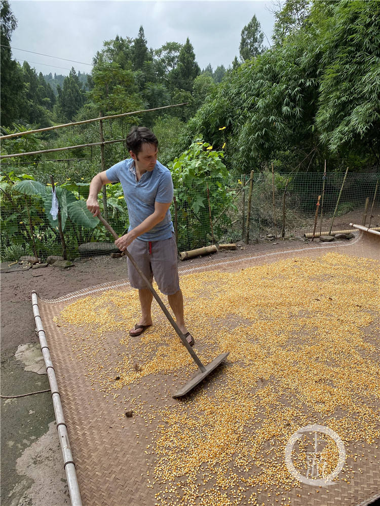在重庆定居的美国小伙最近火了网友干农活的样子像极了我们村的老大爷