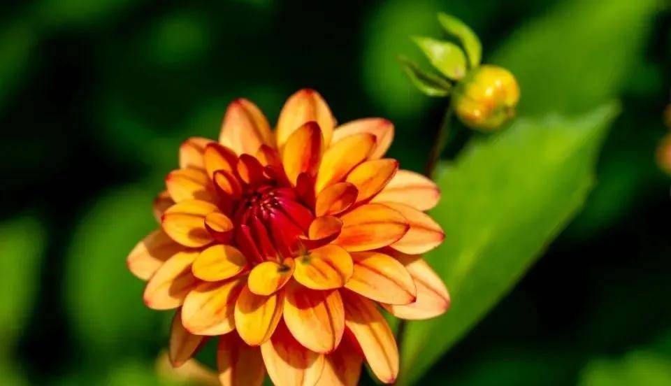 广东油烟机抽检合格率堪忧，行业怎能迎来消费春天-家电圈官网