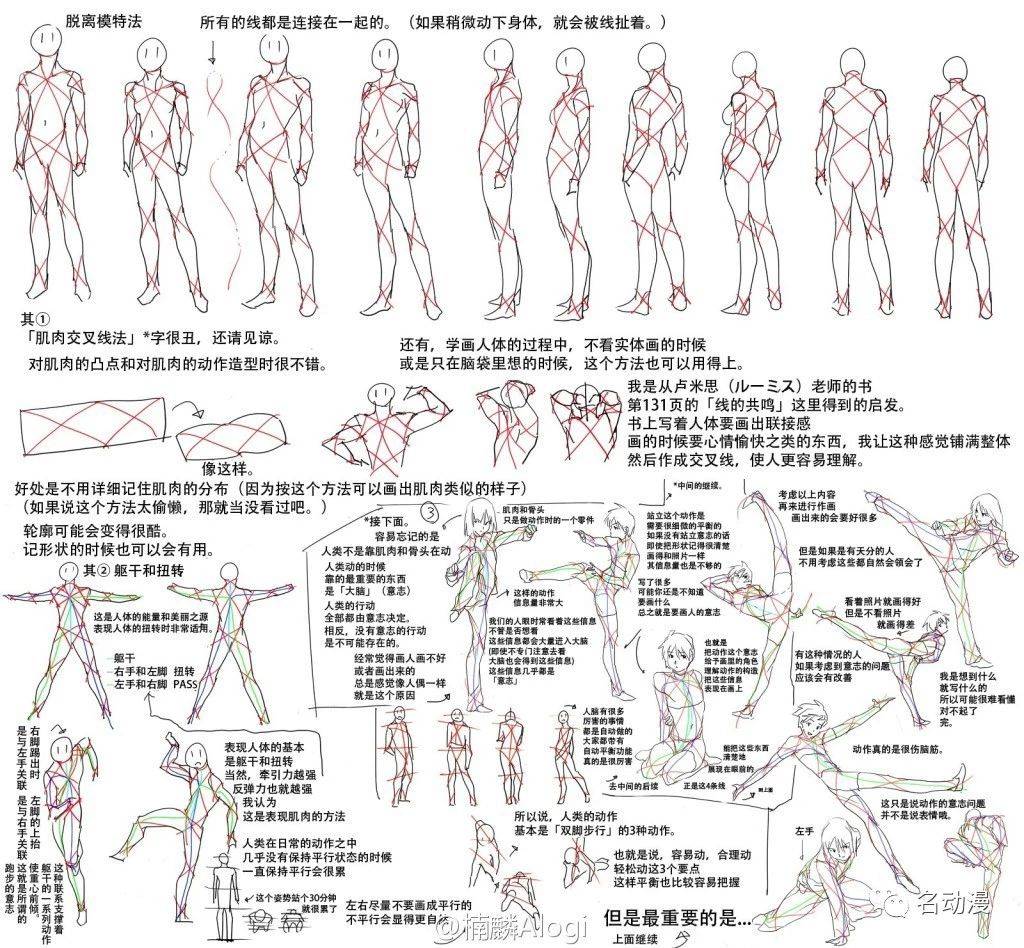 畫不好人體不要苦惱這套人體結構教程幫你掌握各角度的繪畫技巧