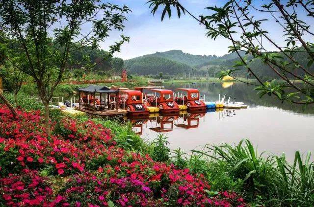 只有去南宁花雨湖了!