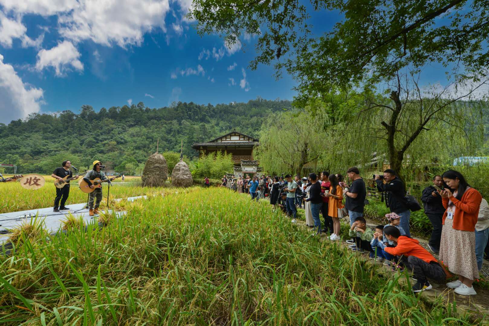 (文/李远明 图/子元)据黄龙洞景区园艺部负责人介绍,黄龙洞生态广场的
