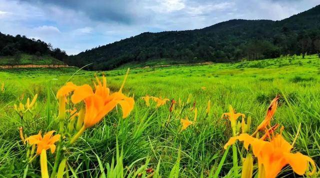 路下紅色之旅仙山牧場創城杯中國屏南第六屆山地車爬坡賽開始報名啦