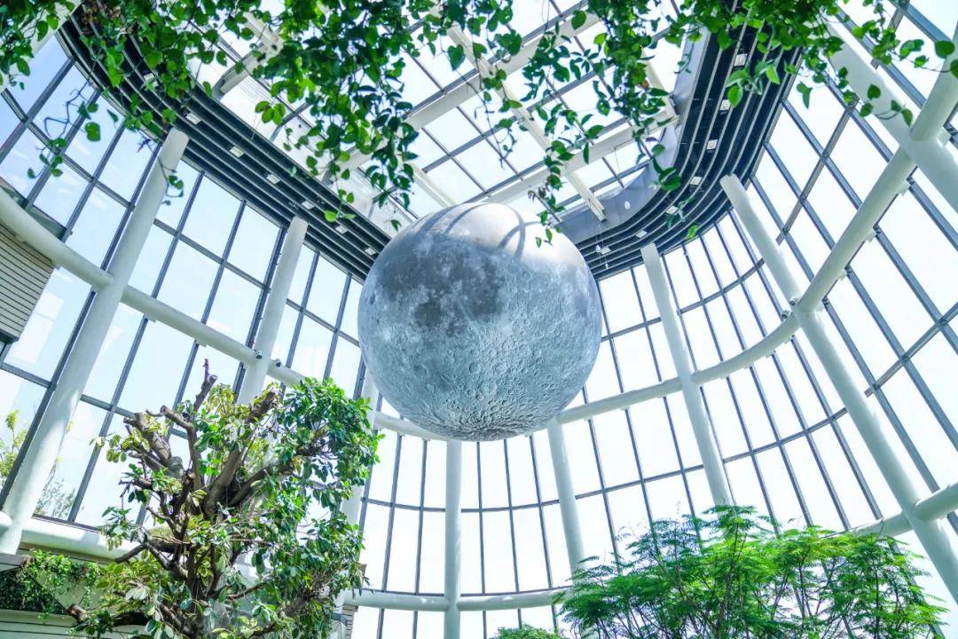 34万㎡400品牌扎堆南翔印象城mega凭美貌火出圈