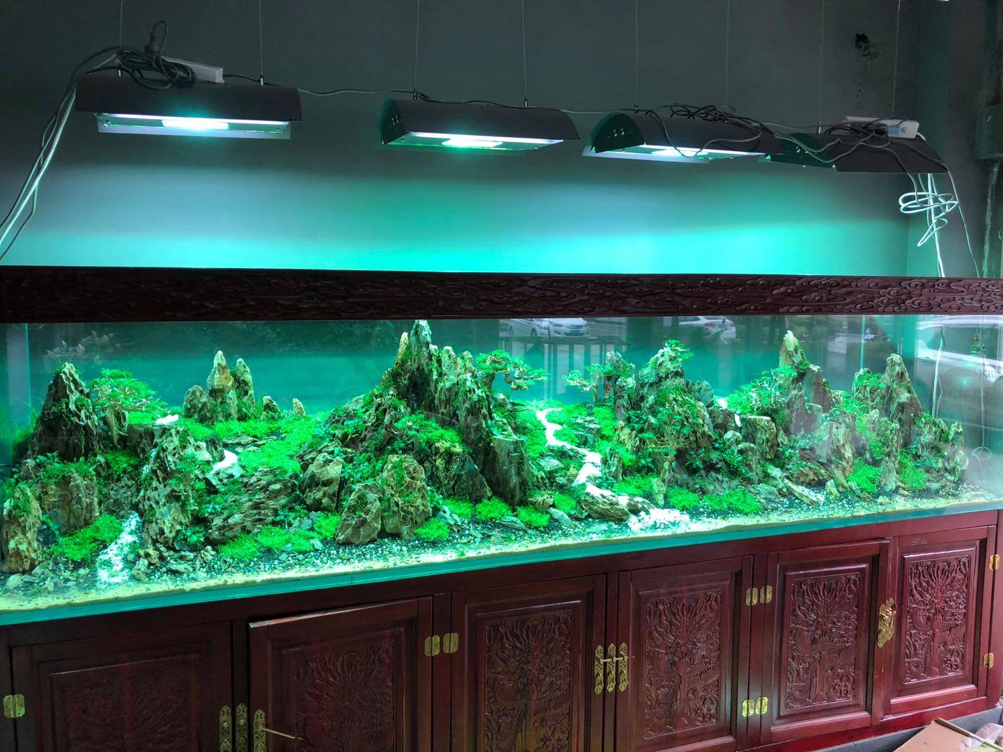水草造景——建造你心中的美景世界_鱼缸