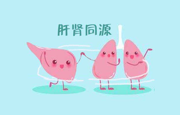 因为肝肾同源.肝藏血,肾藏精,精血互生.