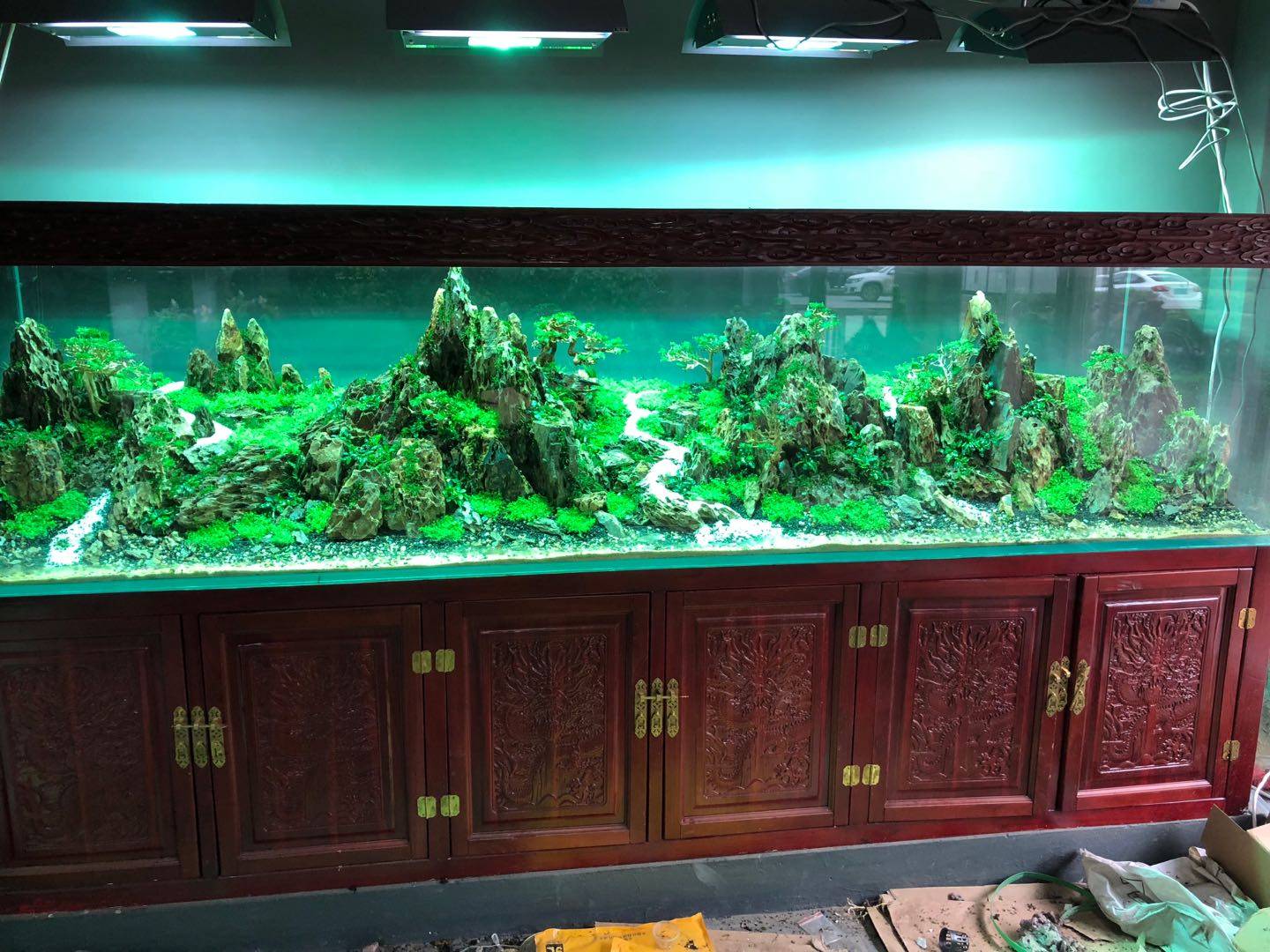 水草造景——建造你心中的美景世界_鱼缸