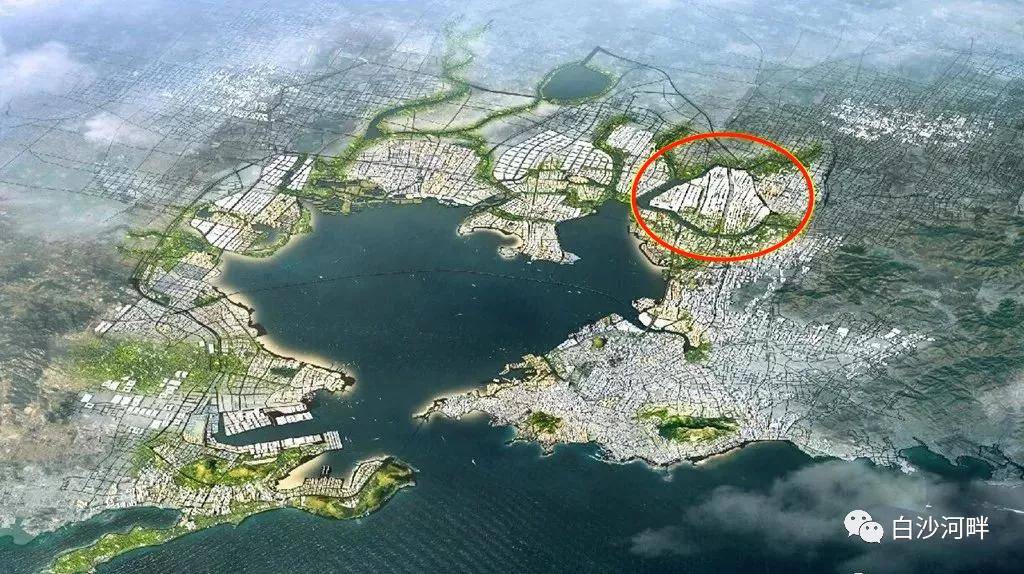 城阳区自然资源局:流亭机场未来新规划年底形成初步方案