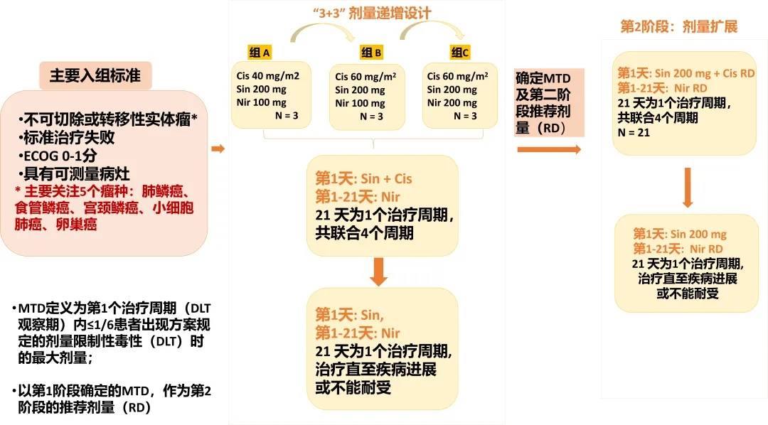 顺铂联合信迪利单抗及尼拉帕利在晚期实体瘤中的探索