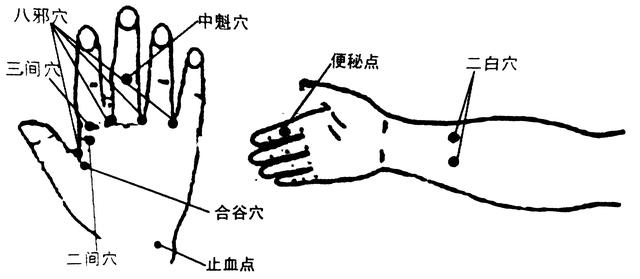 痔点准确位置图和作用图片