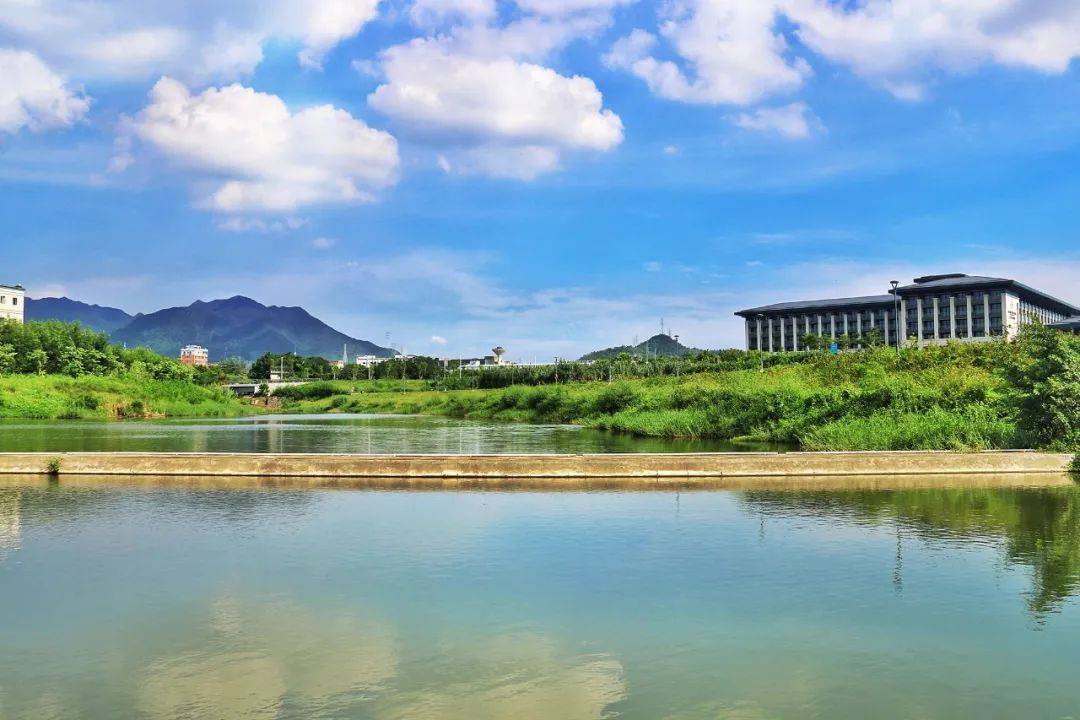 获奖公布丨坪山区河道水库影像大赛结果揭晓