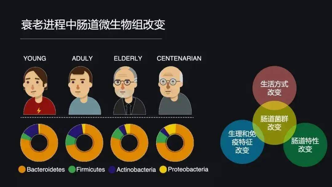 肠道菌群失衡和衰老有什么关系