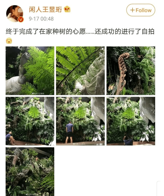 水哥王昱珩翻车了?