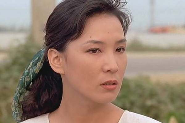 沈惠珍被誉为韩剧贵妇专业户年轻时容貌倾城二婚嫁大8岁富豪