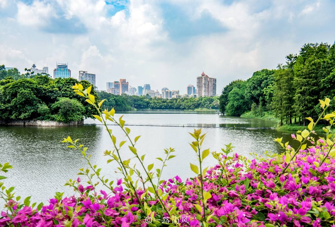 广州第一条"空中步道",穿行在青山绿水间,走完全程大约2小时_麓湖公园