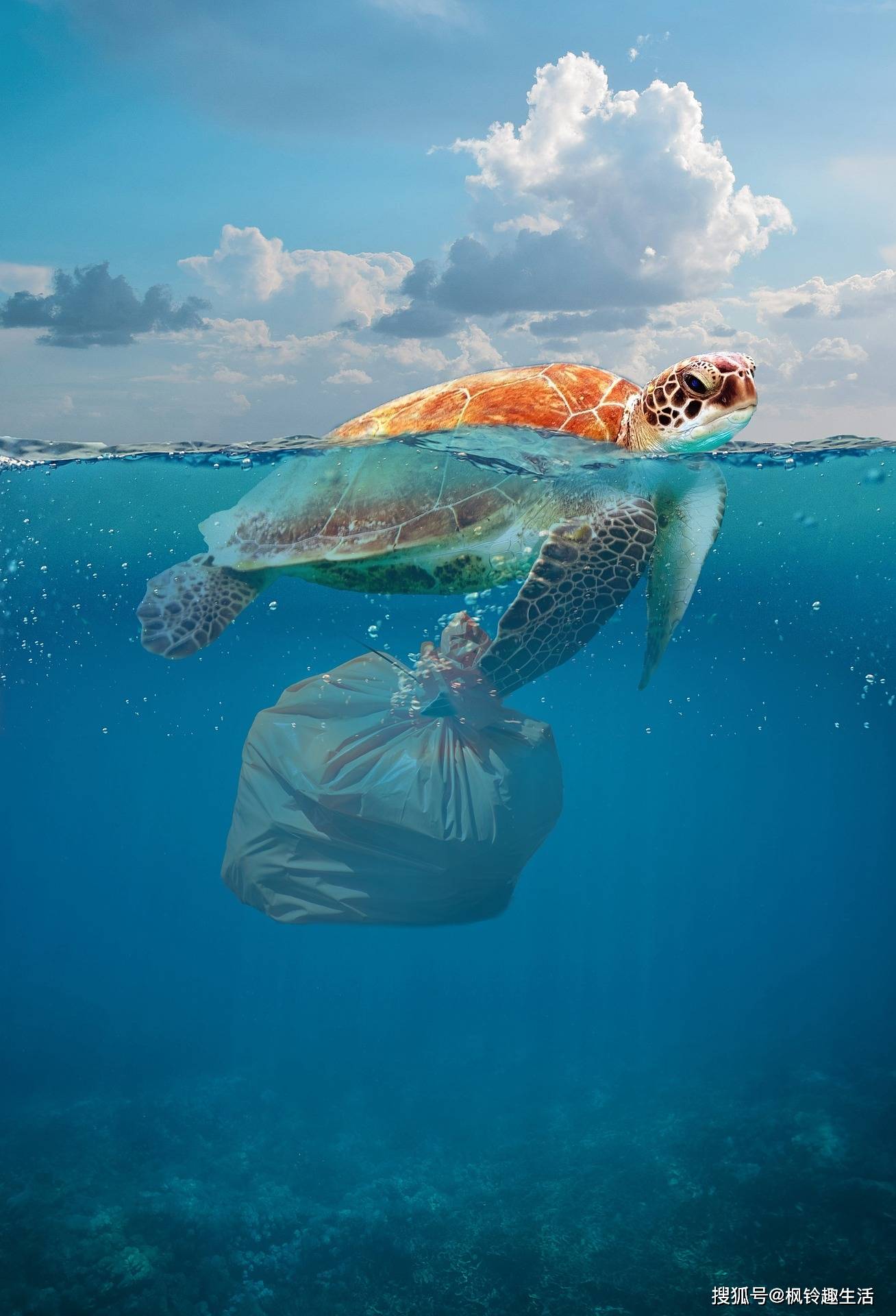 枫铃趣生活 09-28 08:59 订阅 截止到2019年,我国塑料袋使用量超过