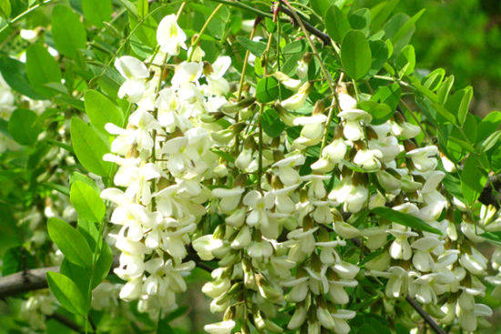 中天易不论年龄大小预知生死病灾大揭秘_手机搜狐网