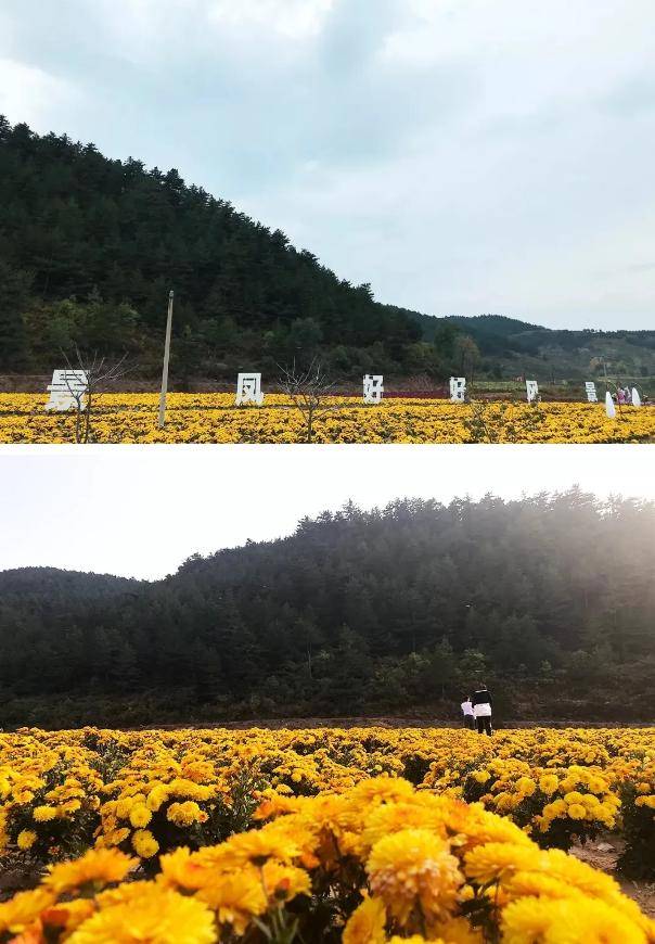 2020国庆乡约沁源丹雀小镇,最沁源的"土味情话"讲给你听