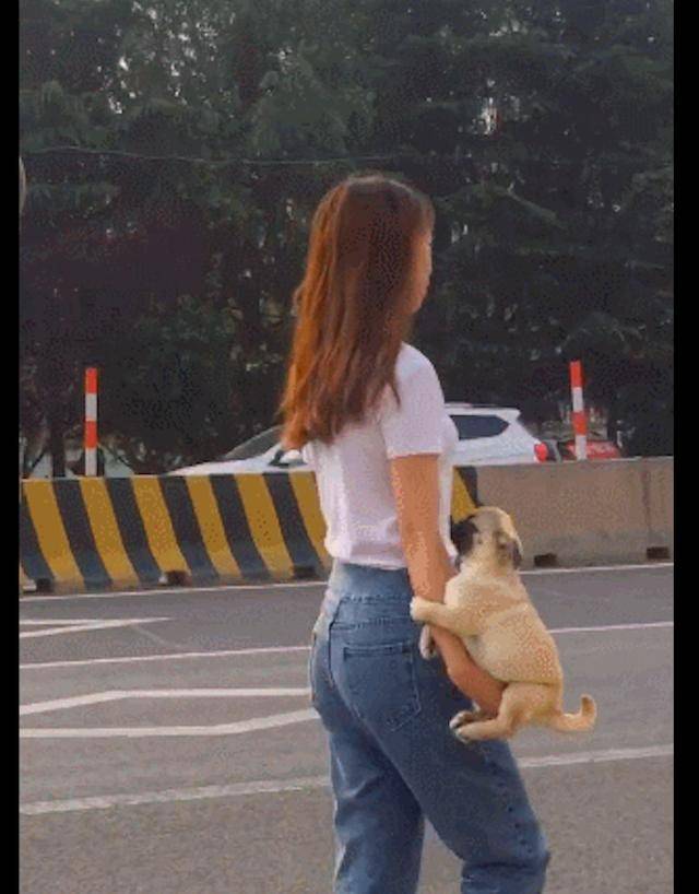 女孩将狗狗放在手臂上,好像个真皮手包,遛狗方式也太硬核了吧!
