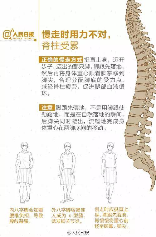 脊柱是男人的龙脉