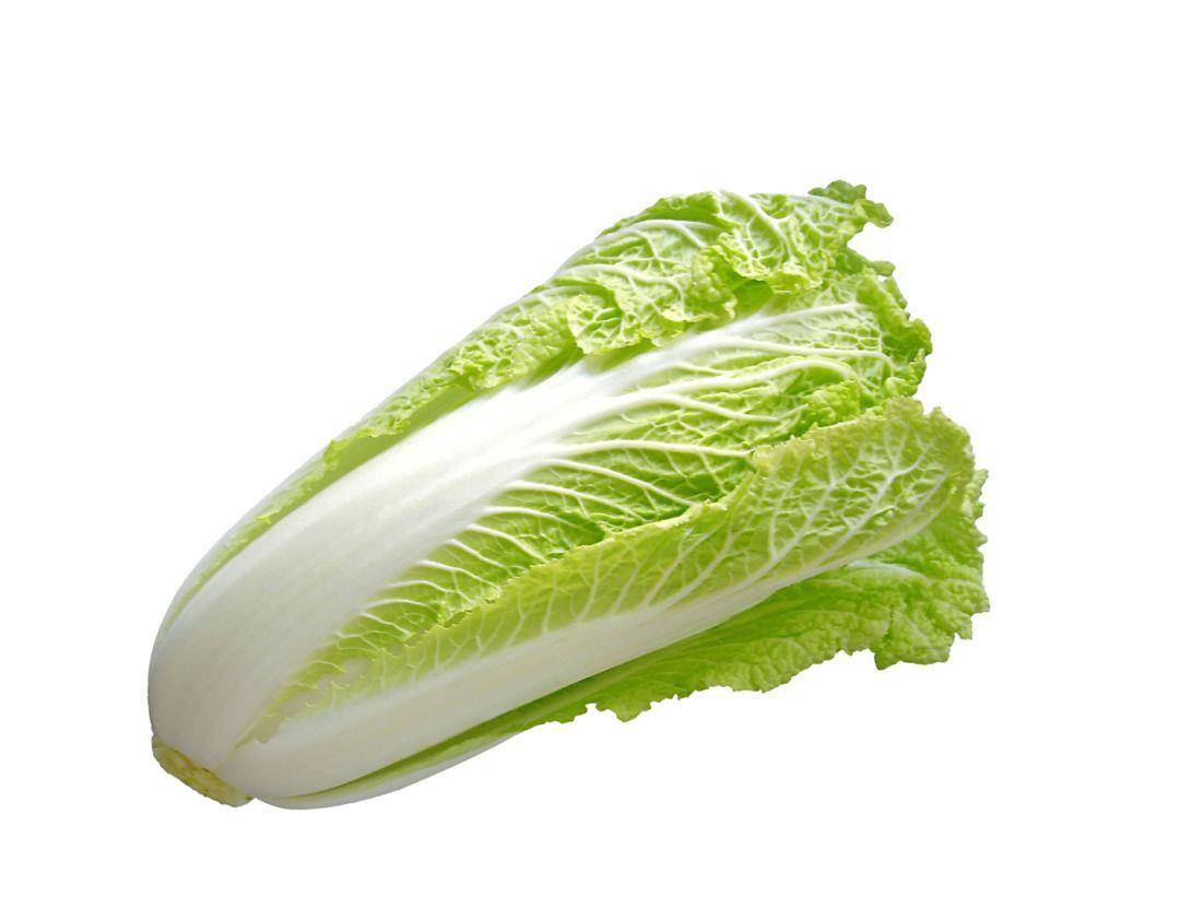 白菜养生篇:药补不如食补,秋季养生怎么补?_肠胃