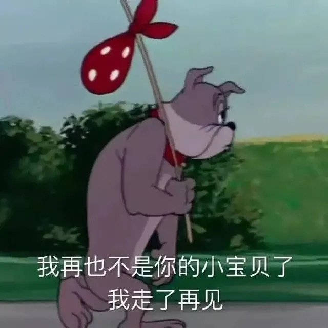 表情包圖片:我再也不是你的小寶貝,我走了