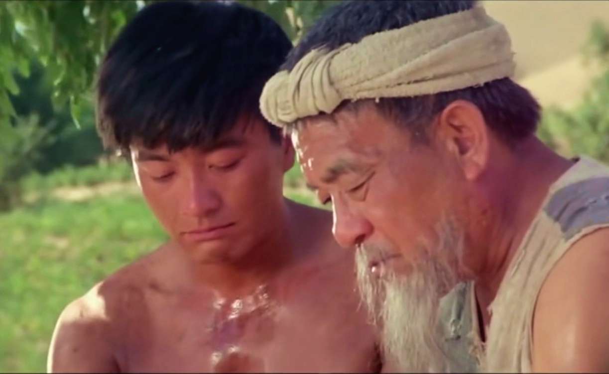 路遥《人生》:这是高加林的人生,也是我们的人生_手机搜狐网