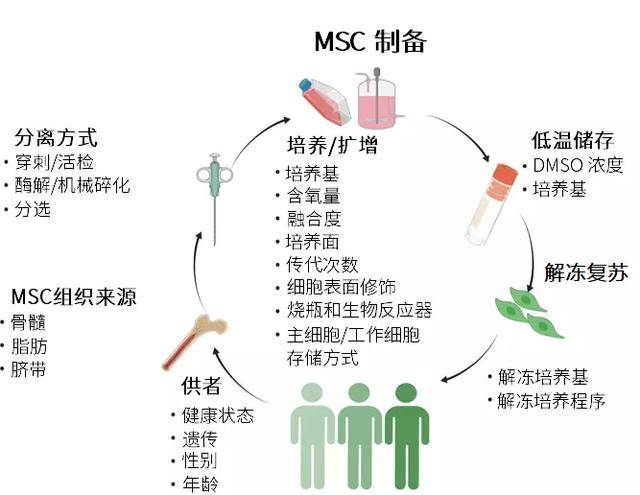 细胞分离技术