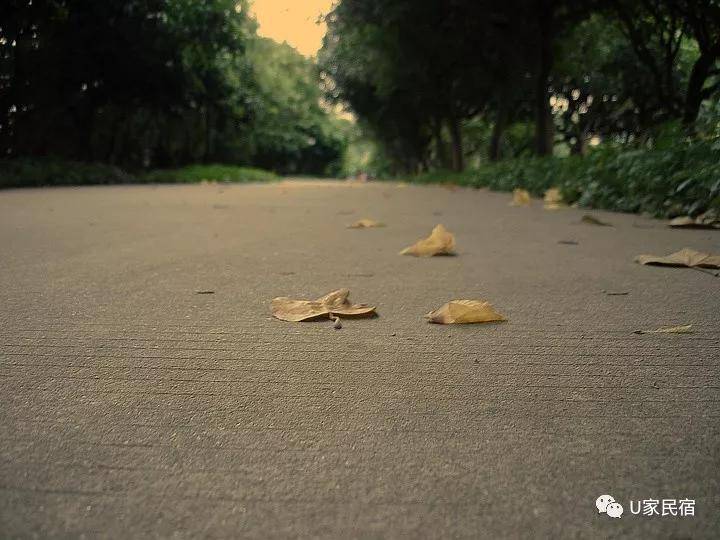 這棟長在人間仙境中的房子清晨聆聽蟲鳴鳥叫夜晚找螢火觀星河