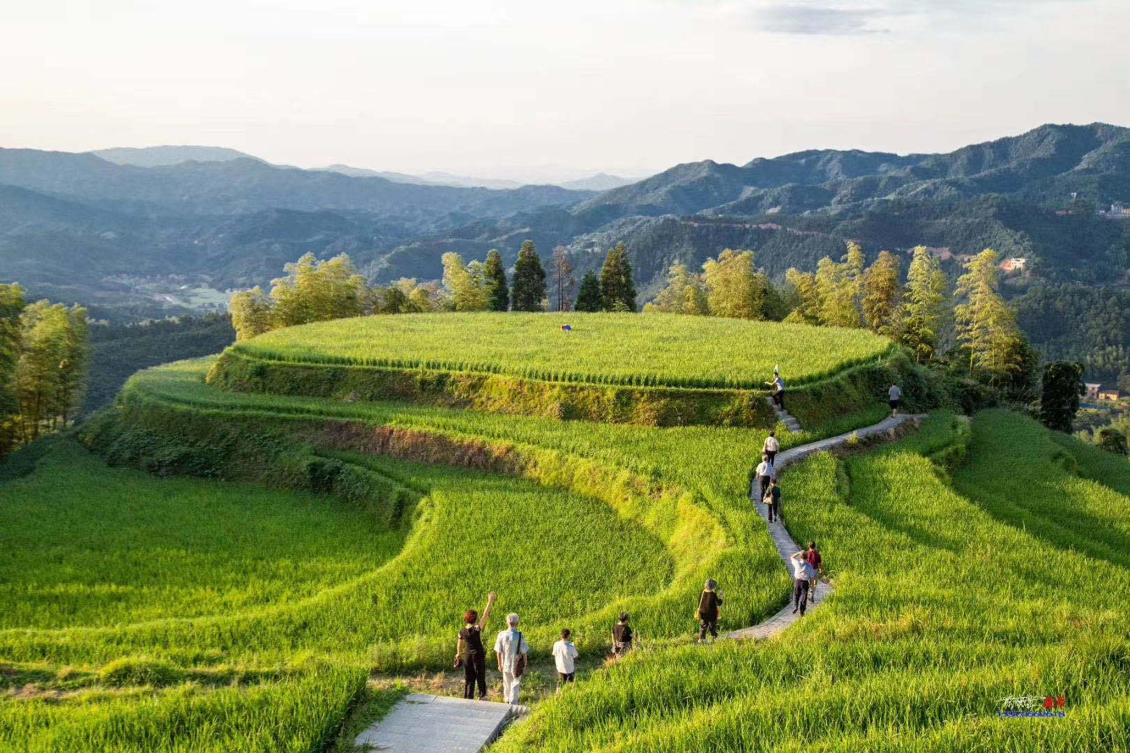 国庆江西周边游,打卡全球最美千亩梯田