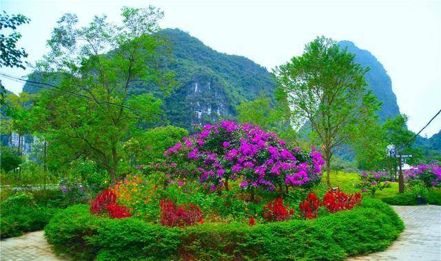 遇山乡舍:阳朔民宿旅行之十里画廊的九里花海去撒野