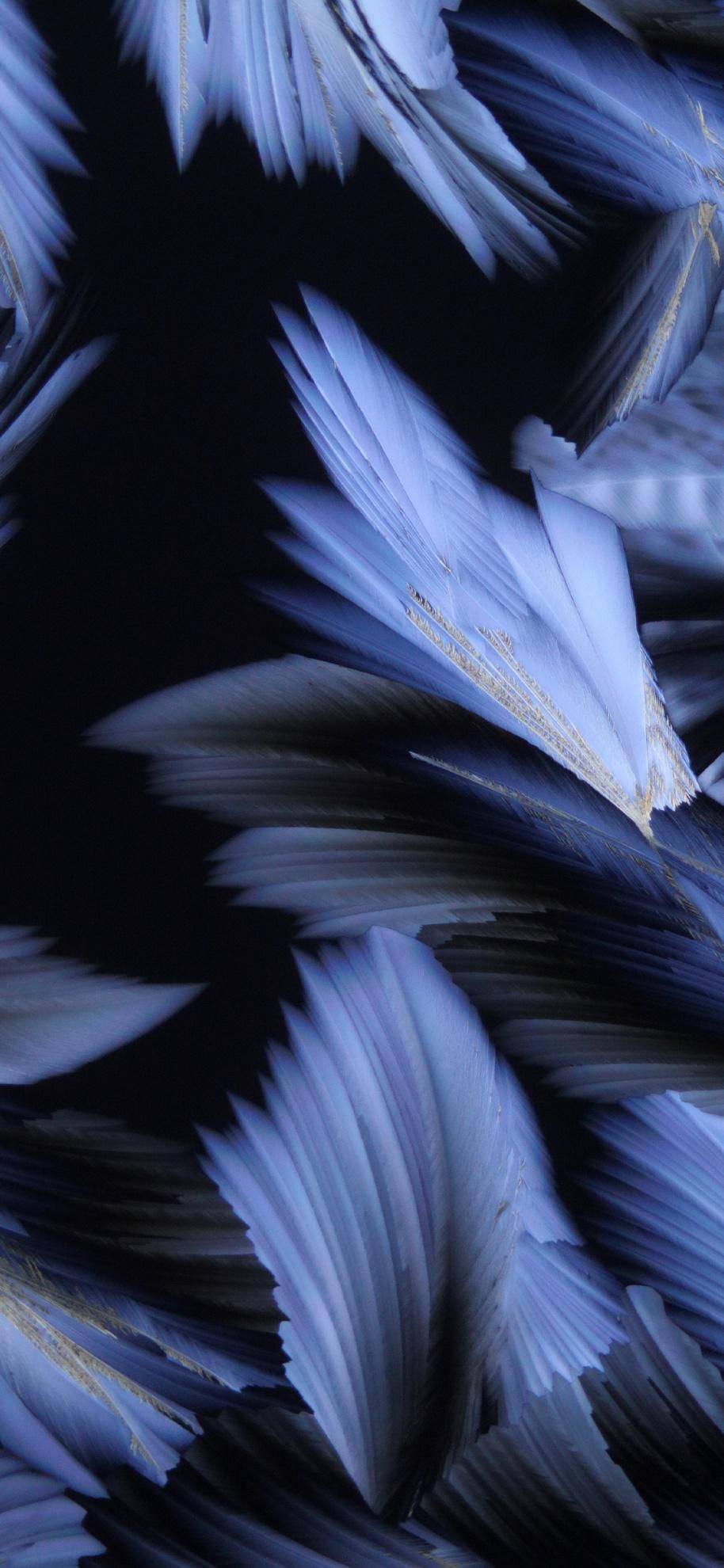 oppo上线art 壁纸,绝美设计宛如一件艺术品