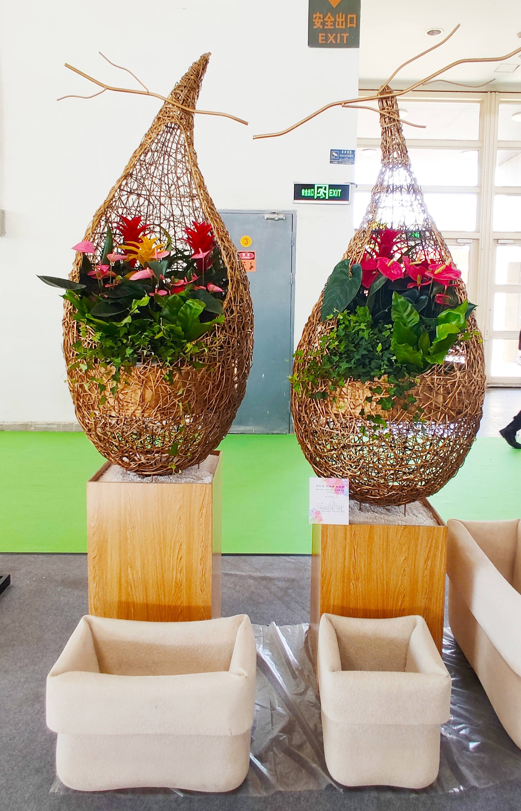 花展中的花卉艺术摆花艺术和插花艺术