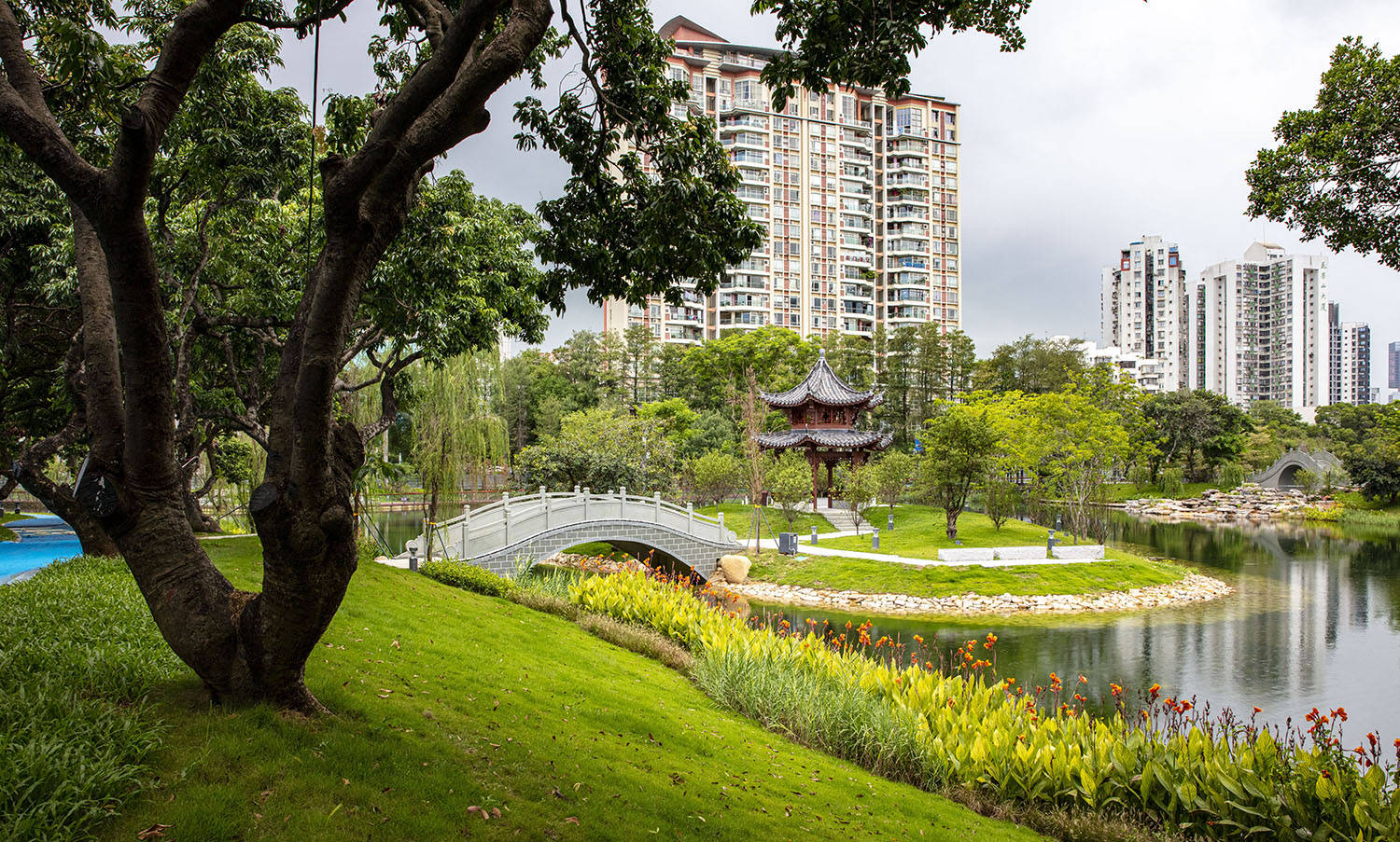深圳南山区改造升级后的四海公园10月1日开园迎客