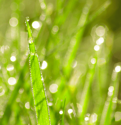 未来3个月,4属相吉星进门,好运降临,喜事多多,前途