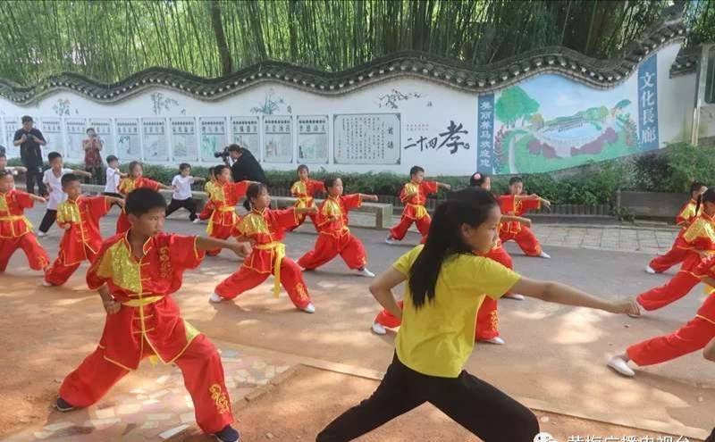 湖北黄梅养马岭:岳家拳武术操展演精彩亮相抗金城_手机搜狐网