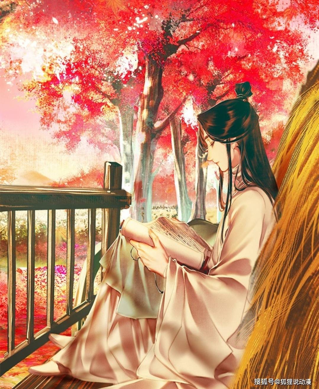 不清楚谢怜第二次被贬的缘由不仅与花城有关最重要的是这句话