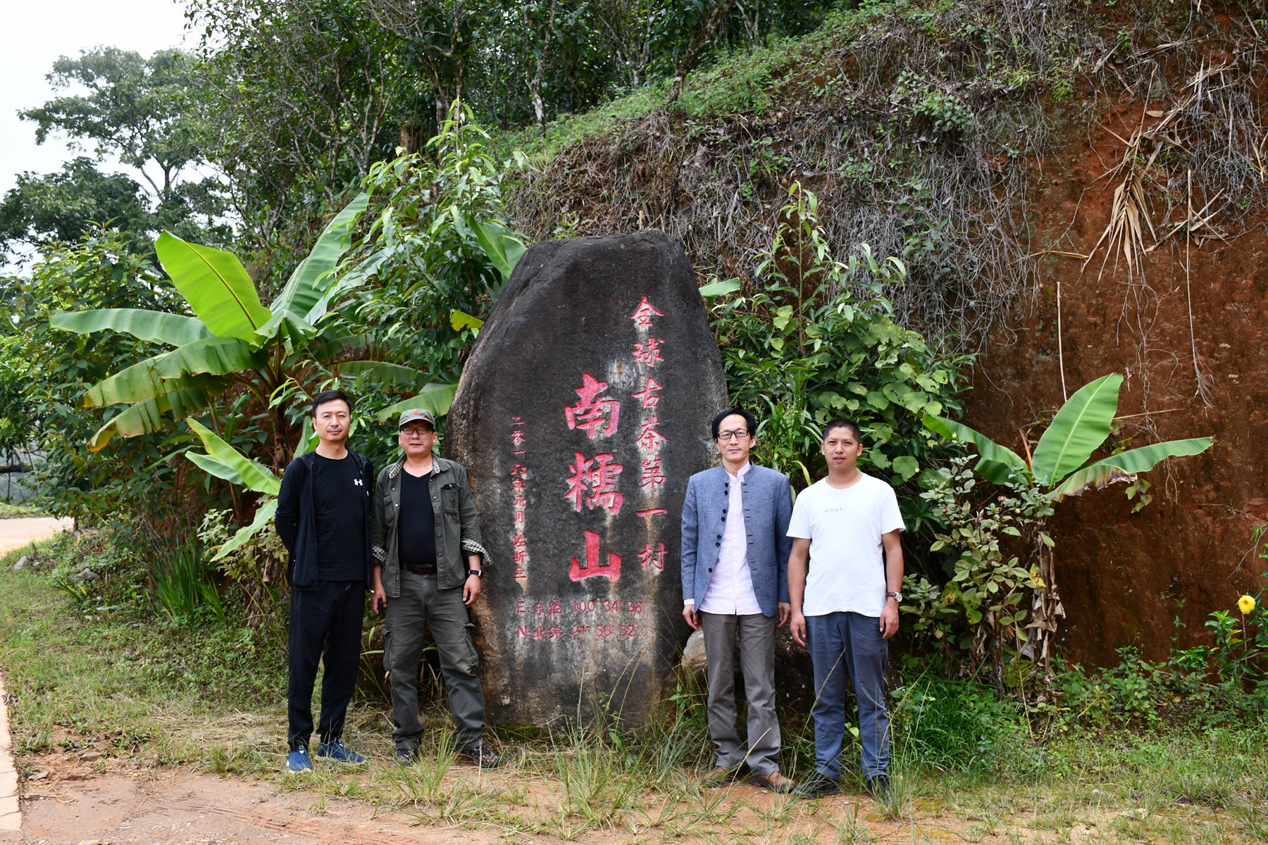深度寻访茶树王之乡丨南糯山·向阳寨