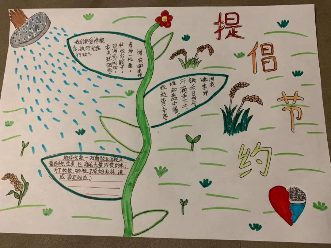 康宁小学光盘行动从我做起