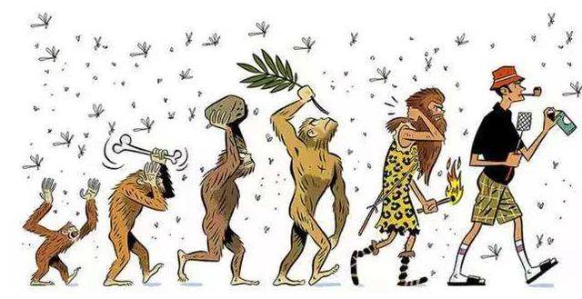 原创如何防御蚊子除了使用蚊香和防护液外还得了解它的3个超能力