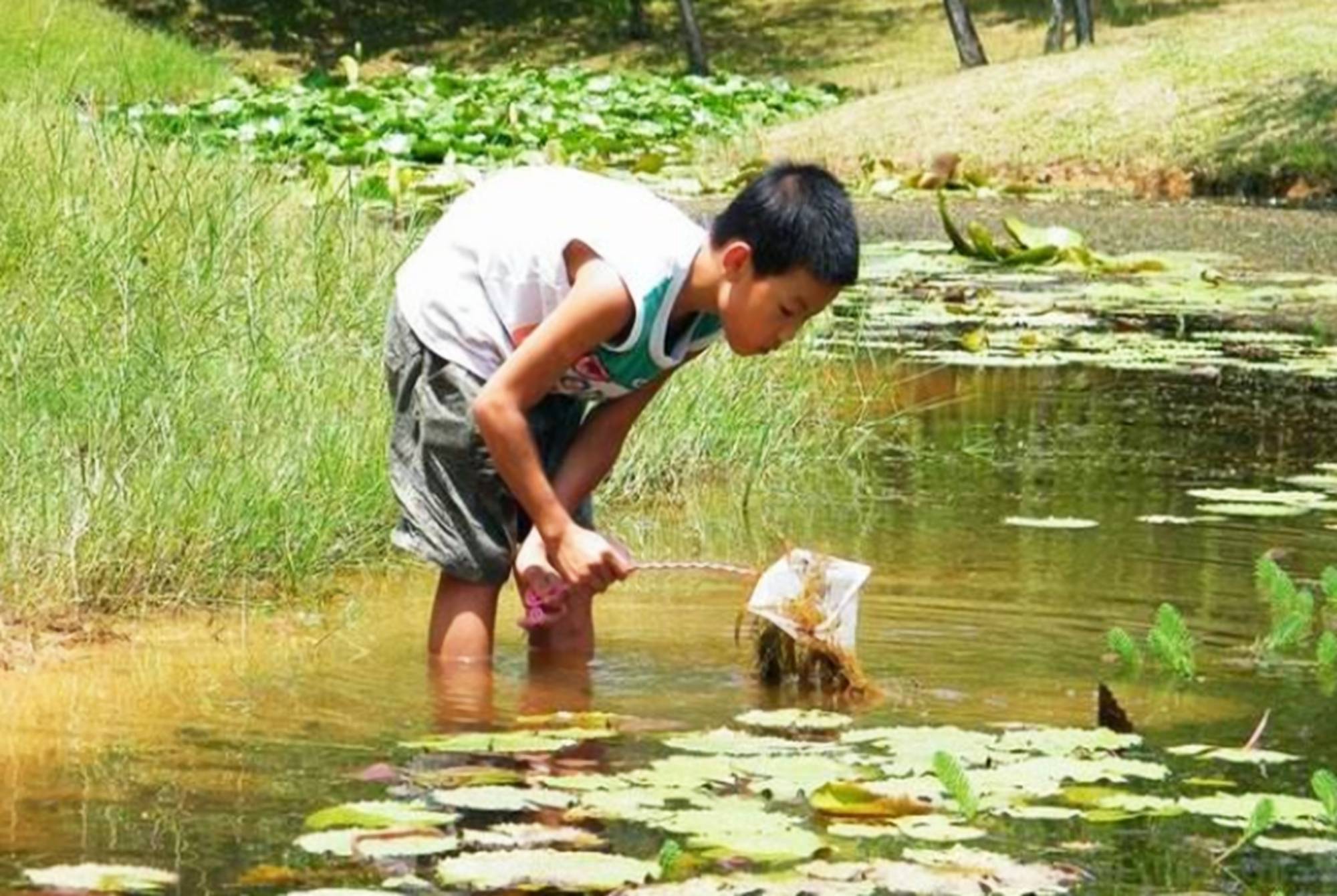 原创孩子回乡下看奶奶宝妈看见婆婆朋友圈不淡定捞鱼的是我儿子